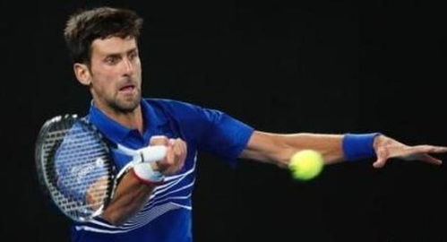 探索安切洛 探索安切洛