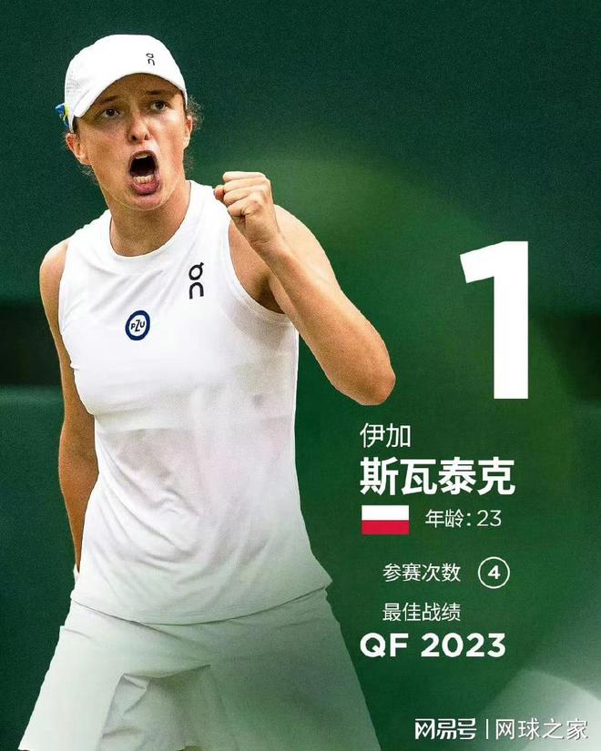 拼图之一 拼图之一